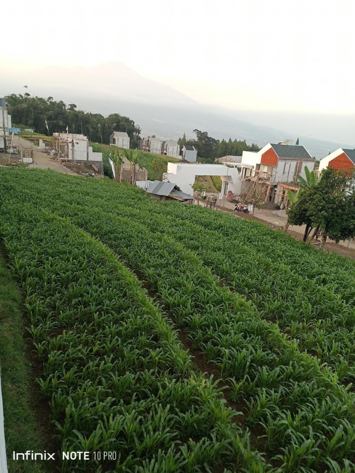 Villa Alraza Tlekung Dış mekan fotoğraf